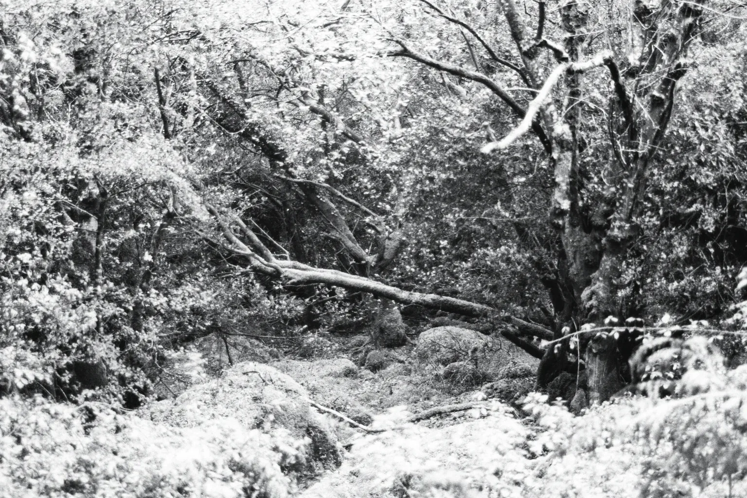 5e